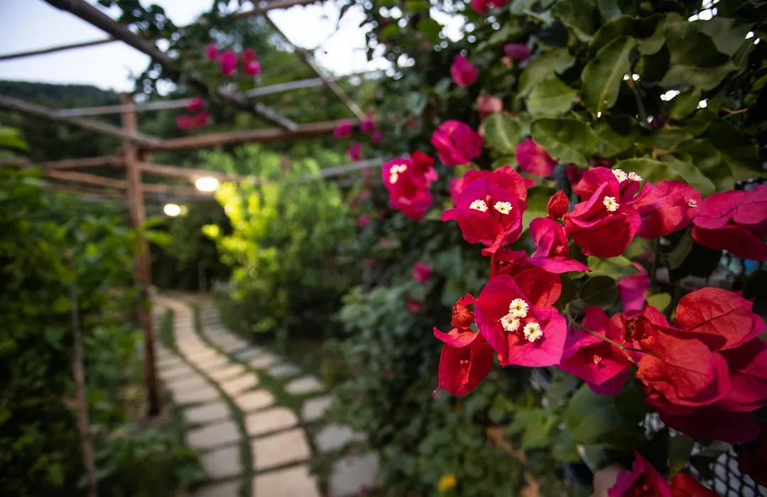 Casa Rosaria Amalfi Coast-1